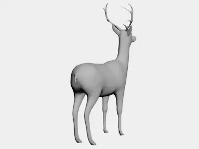 Deer-wild animals 3D model