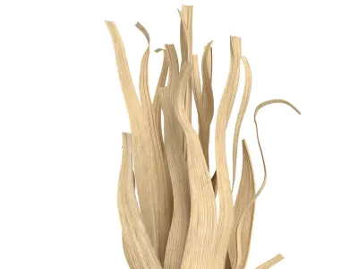 Flint Corn 3D model