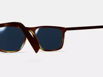Fletcher Sunglasses in Rye Tortoise 3D model