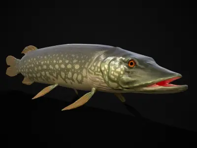 Northern Spotted Pike Low-poly 3D model