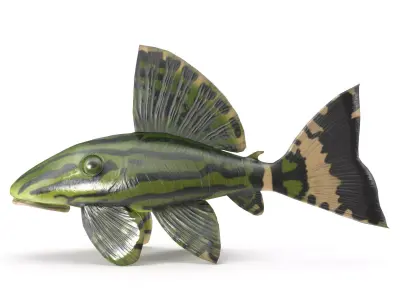 Catfish toy fish Low-poly 3D model