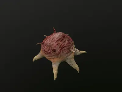 worms bug dust insect  Low-poly 3D model