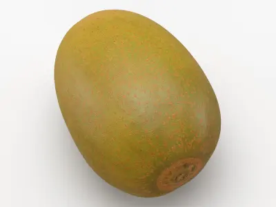 Golden Kiwi 3D model purchase