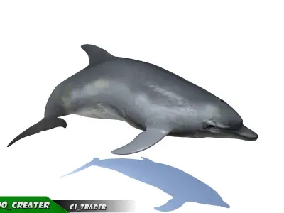 Low-Poly Bottlenose Dolphin Rigged Animated 3D model Low-poly 3D model