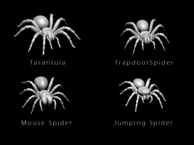 Spider Pack 3D model