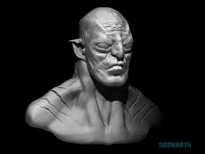 alzog bust 3D model