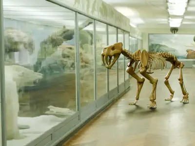 Relistic Mammals Fossil - Sabertooth Low-poly 3D model