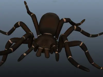 Goliath Bird Eating Spider - Owen Moloney Low-poly 3D model