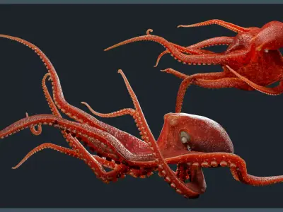 Octopus Mega Pack Low-poly 3D model