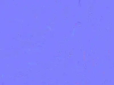 Cartoon Owl Beanie 3D Model Wise Winter Character Low-poly 3D model