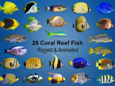 Coral Reef Fish Collection Animated - Game Ready pack 2 Low-poly 3D model
