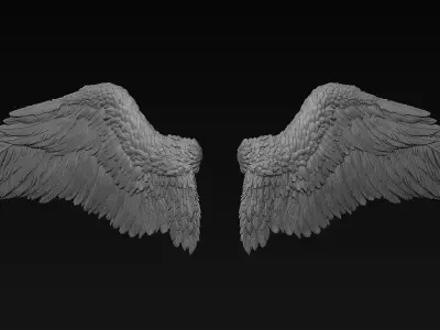 Wings Zbrush Sculpt 3D model