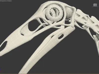 Ornithomimus skeleton 3D model