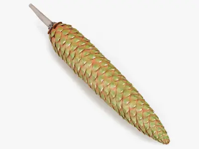 Green Pine Seed Cone 3D model