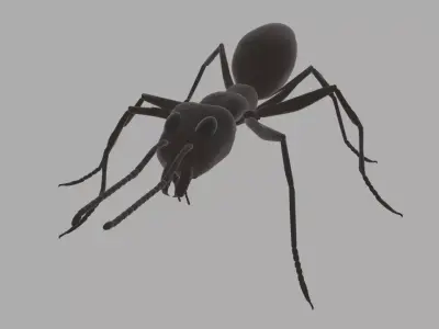 Argentine Ant Rig Simple Free 3D model