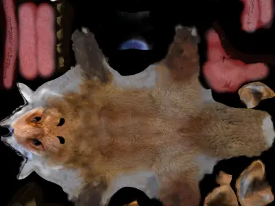 Fox red 3D model Low-poly 3D model