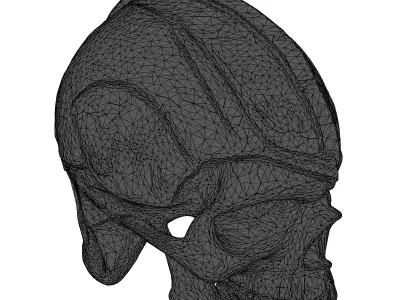 Dark Fantasy Skull Helmet 3D model