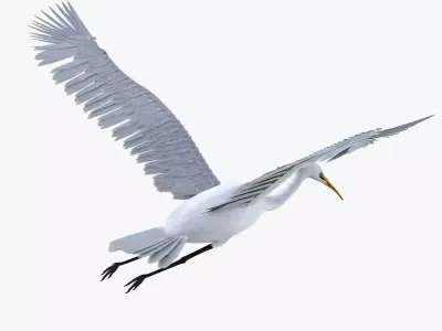 Egret bird rigged 3d model Low-poly 3D model