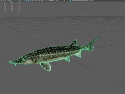 Sturgeon Low-poly 3D model