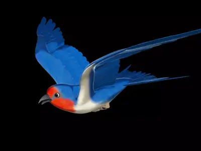 Rigged and animated cartoon swallow  3D model
