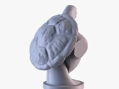 Turtle head Free 3D print model