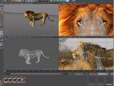Lion Savane Free 3D model