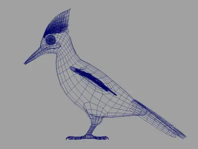 woodpecker bird 3d model 3D model