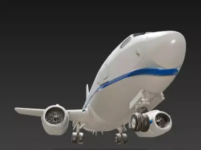 Boeing 737-800 Airliner -  Authentic Livery 3D model