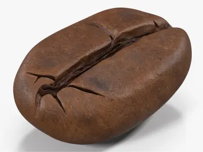 Coffee Bean Roasted 2 v 2 3D model