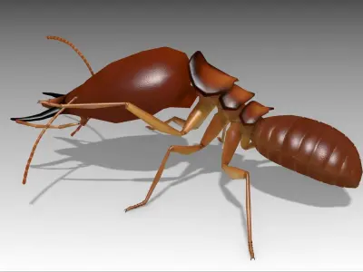 Termite ant Low-poly 3D model