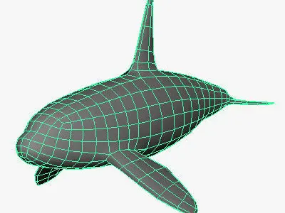 Low Poly Killer Whale Low-poly 3D model