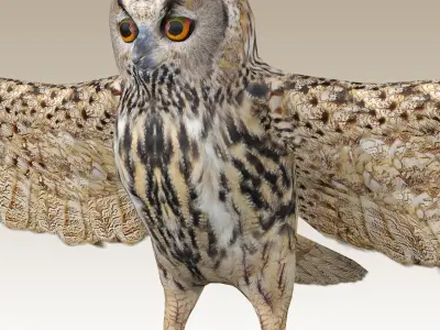 Great Horned Owl  Low-poly 3D model