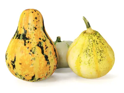 Decorative pumpkins Free 3D model