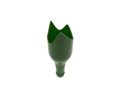 Broken Bottle 3D model
