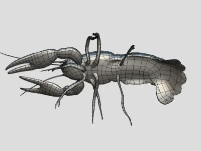 Crayfish Realistic Animated Low-poly 3D model
