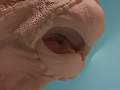 Triceratops Bust Highly Detailed 3D Model 3D print model