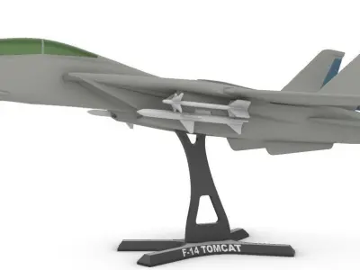 F-14 Tomcat 3D print model