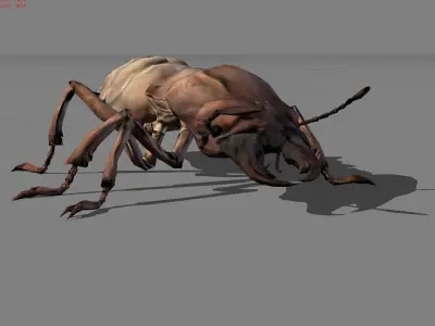 Termite Isopetra Animal Low-poly 3D model
