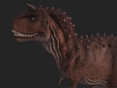 Carnotarus  Dinosaur 3D Model  3D model