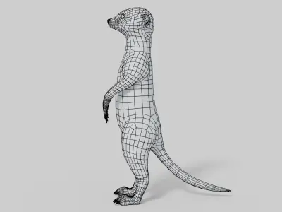 3D Meerkat Model Low-poly 3D model