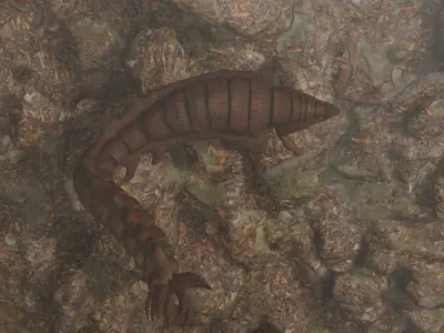 Alien Desert Low-poly 3D model