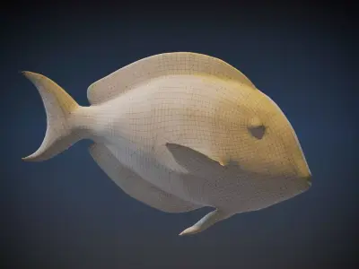  Sohal Surgeonfish 3D model