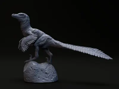 Velociraptor looking 1-20 FREE model pre-supported Free 3D print model