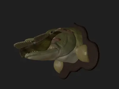 PIKE EAT PERCH DETAILED TEXTURE TROPHY TAXIDERMY FOR 3D PRINTING Free 3D print model