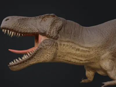 Tyrannosaurus rex Low-poly 3D model