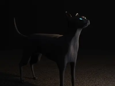 Egyptian Sphynx Cat  LowPoly GameReady Low-poly 3D model