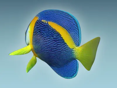 Anglefish 8 angelfish 3D model