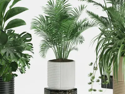 Indoor Plant Set 01 3D model