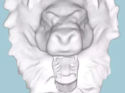 MakeIT Lion Face Hanger 3D Model 3D model