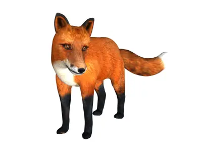 Red Fox Low-poly 3D model